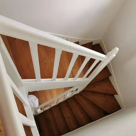 Entire - Centre - 45 Rosa Fécamp